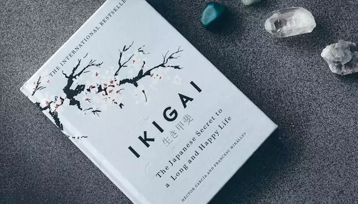 From Ikigai to Wabi-Sabi: 10 Japanese life hacks for a happier you!