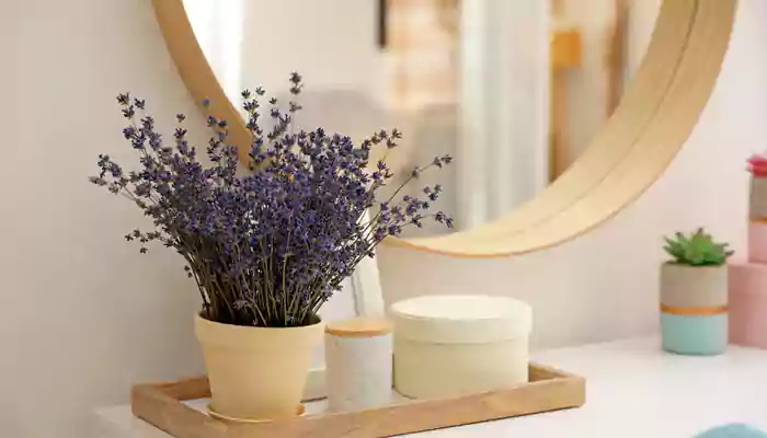 Bring nature home: Improve your space and well-being with healing plants
