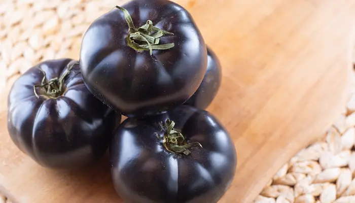 The Beauty of Purple Tomatoes: A Guide to Cultivating and Harvesting in US Gardens