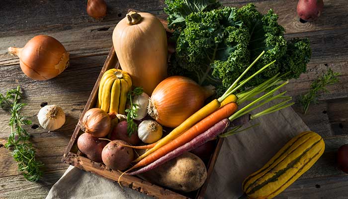 Why You Should Include Copper Enriched Food In Your Diet