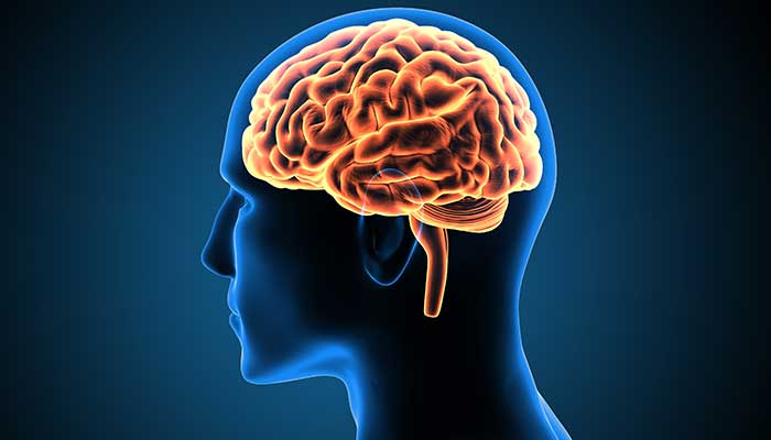 Ways to keep your brain and body youthful