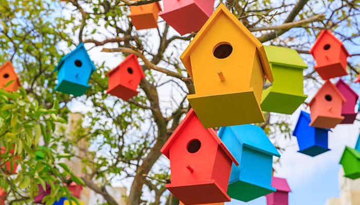 Amazing Ways to Make Your Garden Bird-Friendly