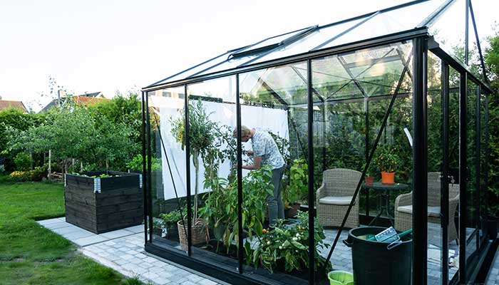 6 Mini Greenhouse Ideas To Build In Your Garden