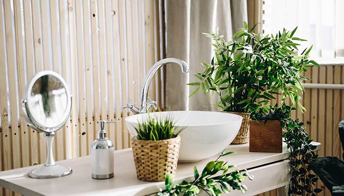 Plant Décor For Designer Washroom