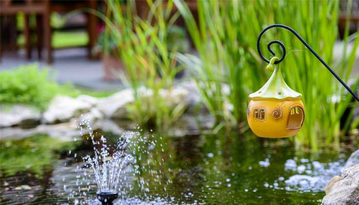 How To Make Backyard Pond On Your Own