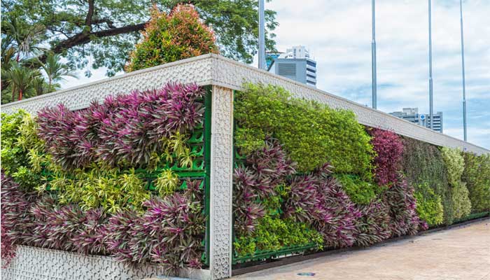 Why Vertical Garden Is The New Plantation Trend
