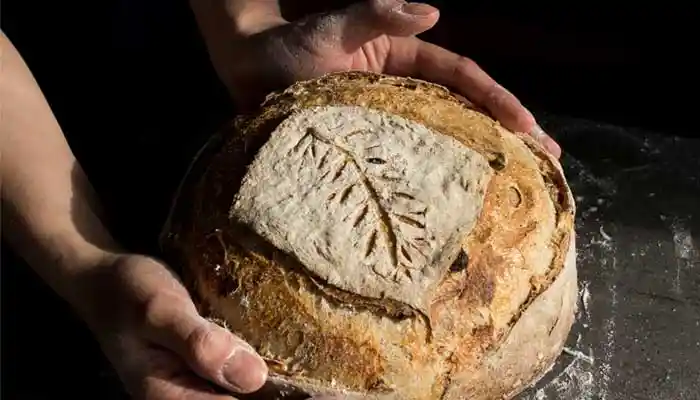 Why fitness experts are choosing sourdough bread over regular one.