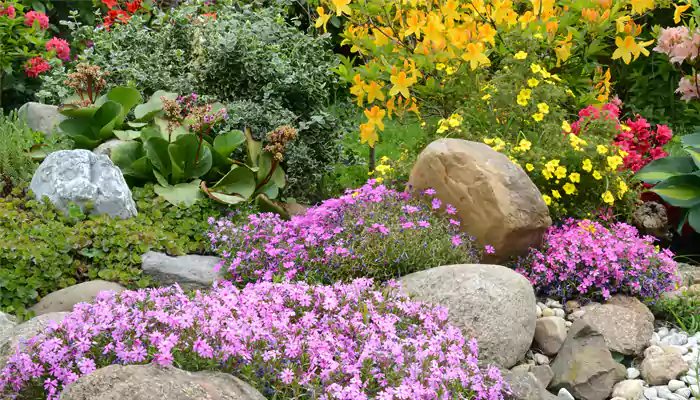 Six Incredible Plants For Your Backyard Pond Or Water Garden