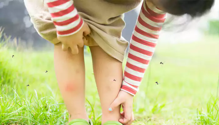 Handy Tips To Protect Your Child Against Mosquito Bites
