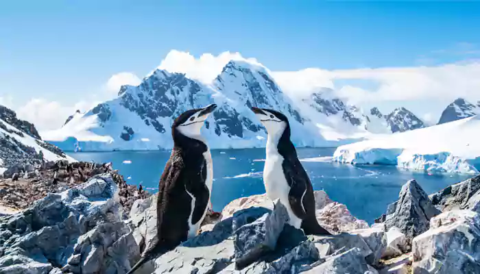 If Antarctica is on your travel list, here is all you need to see