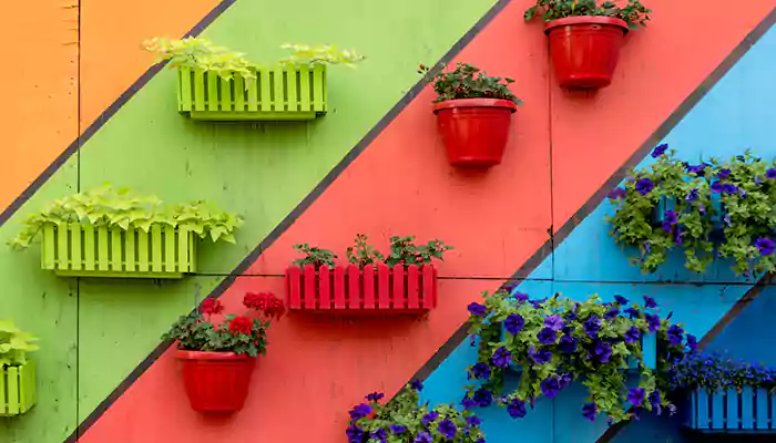 Grow A Dye Garden: Six Plants You Should Grow To Extract Organic Colors