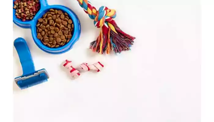 5 EFFECTIVE DOG FOOD ADDITIVES TO SUPPLEMENT A DRY FOOD DIET