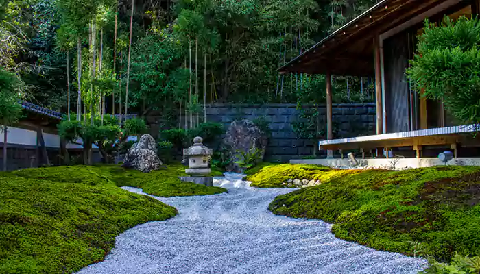A Comprehensive Guide To Creating a Japanese Zen Garden: Essential Calming Elements You Should Add