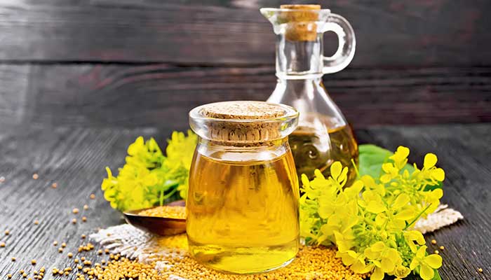 Sarso ka tel aka Mustard Oil, and its benefits